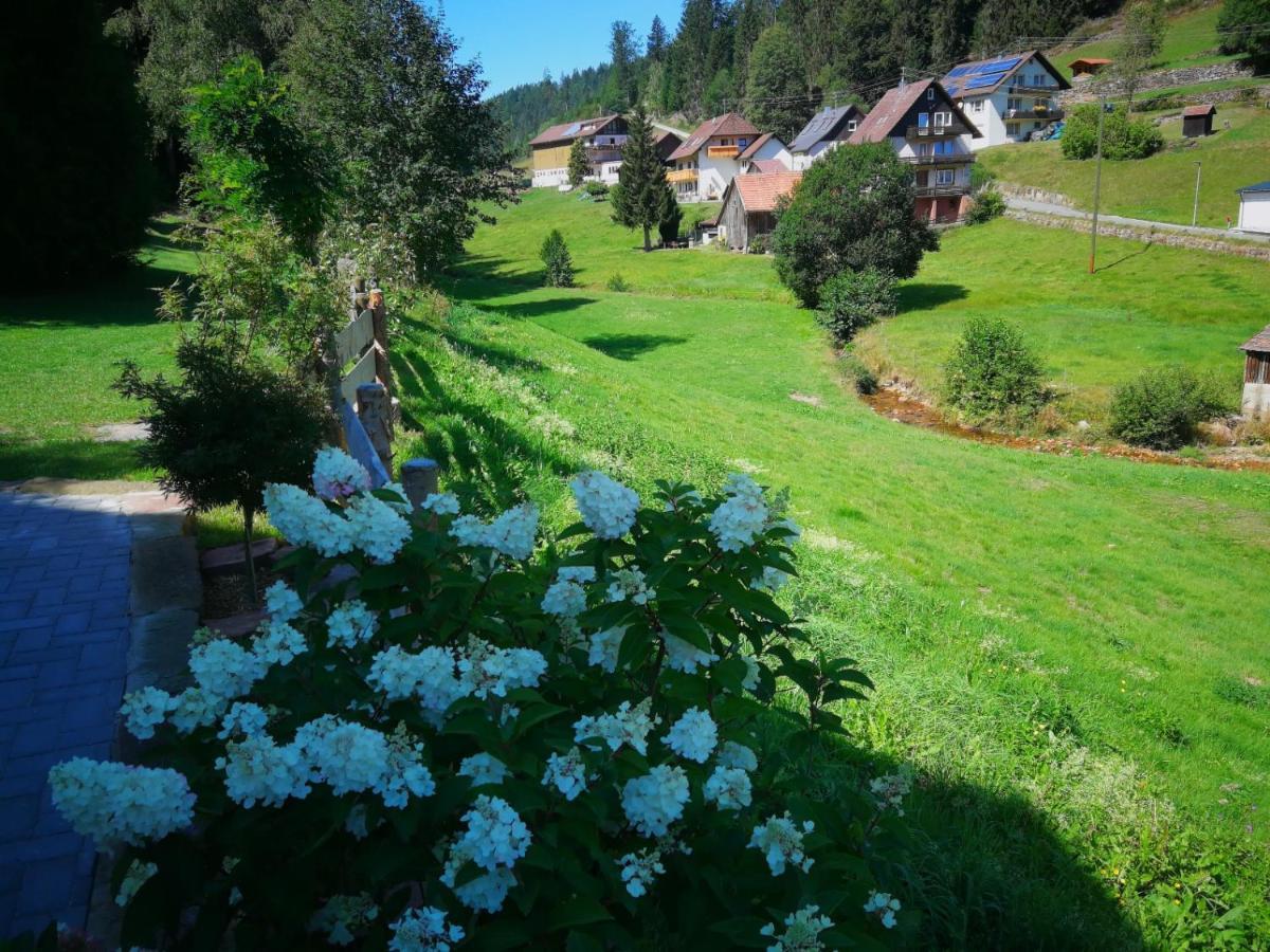 Ferienhaus Enzquelle Enzklösterle Exteriör bild