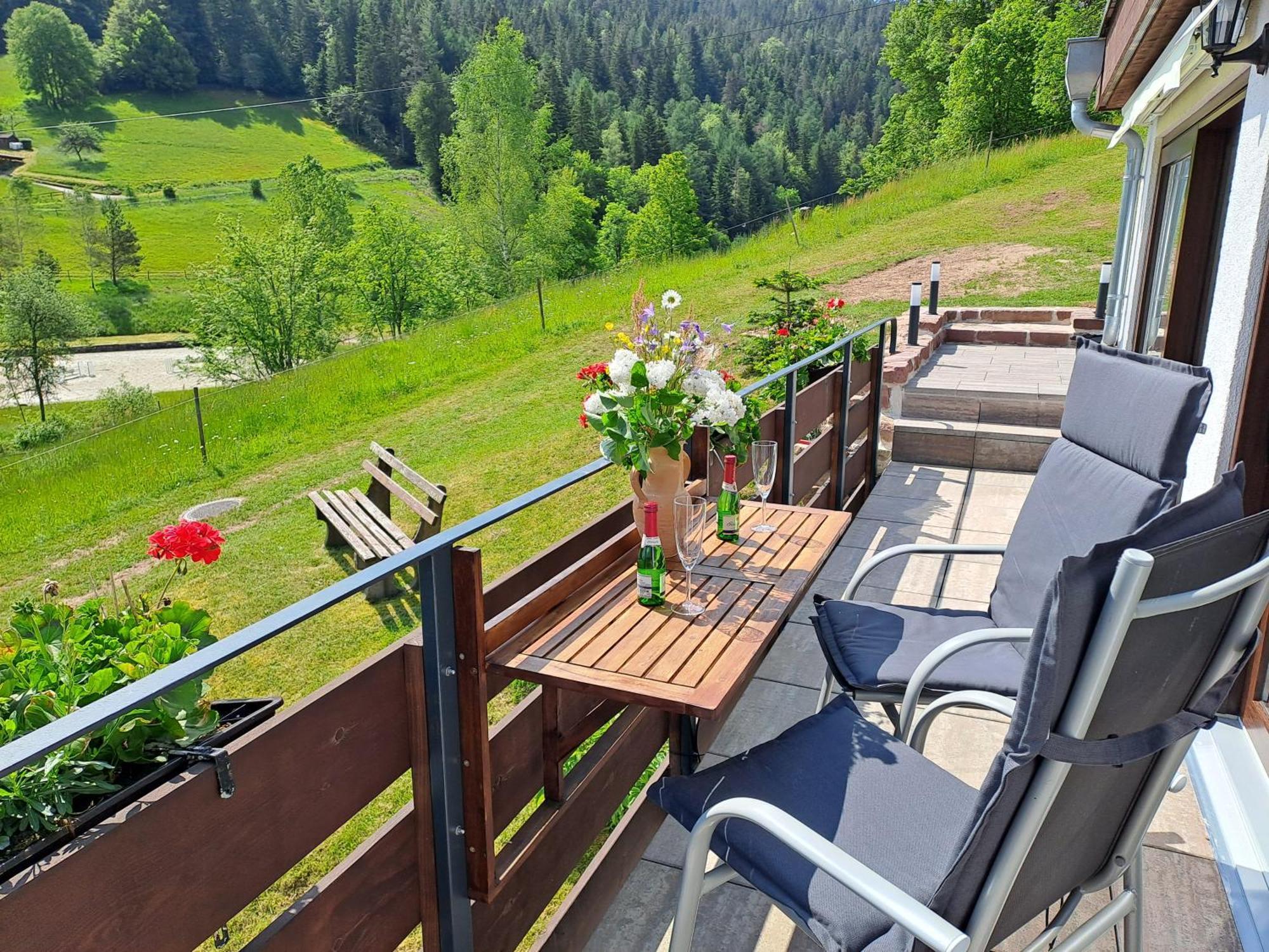 Ferienhaus Enzquelle Enzklösterle Rum bild