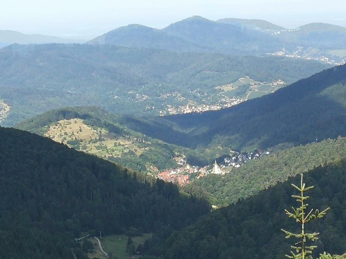 Ferienhaus Enzquelle Enzklösterle Exteriör bild