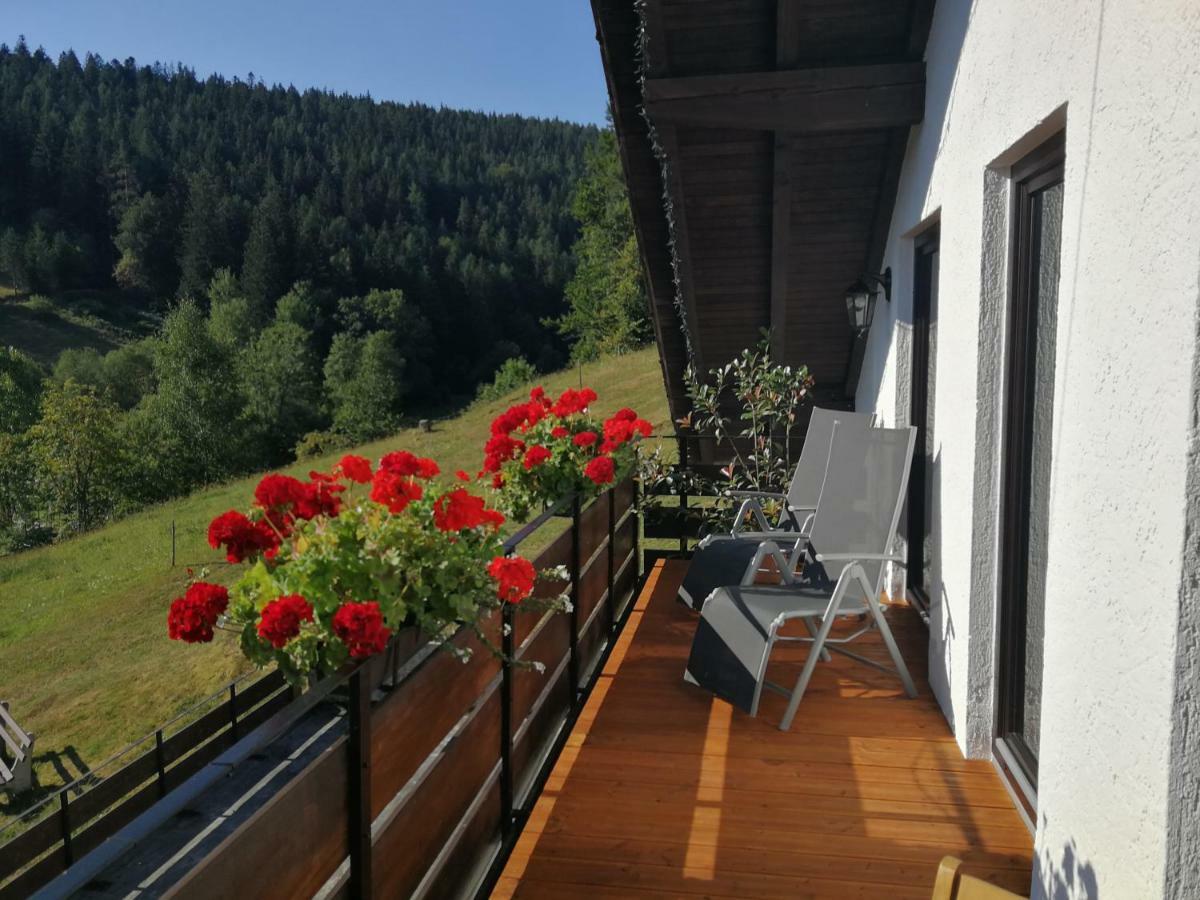 Ferienhaus Enzquelle Enzklösterle Exteriör bild